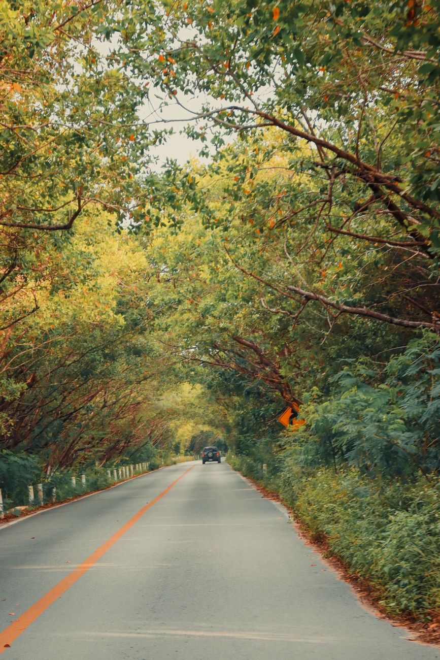 Ruta panorámica en México